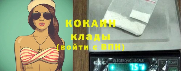 прущий лед Пересвет